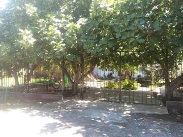 Фотографии Гостевой дом Guest House U Ruslana г. Алахадзы (Абхазия) №3 Фото Гостевой дом Guest House U Ruslana г. Алахадзы 3