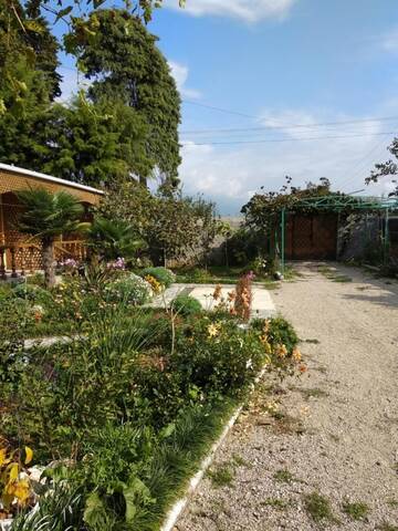 Фотографии Гостевой дом Sarmat Guesthouse г. Алахадзы (Абхазия) №3 Фото Гостевой дом Sarmat Guesthouse г. Алахадзы 3