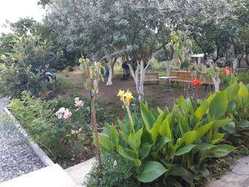Фотографии Гостевой дом U Rubena Guesthouse г. Алахадзы (Абхазия) №1 Фото Гостевой дом U Rubena Guesthouse г. Алахадзы 1