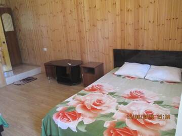 Фото номера Роскошный четырехместный номер Гостевой дом David Guest house г. Алахадзы 24