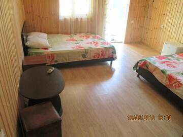 Фото номера Роскошный четырехместный номер Гостевой дом David Guest house г. Алахадзы 28