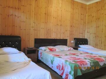 Фото номера Роскошный четырехместный номер Гостевой дом David Guest house г. Алахадзы 37