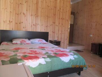 Фото номера Роскошный четырехместный номер Гостевой дом David Guest house г. Алахадзы 4