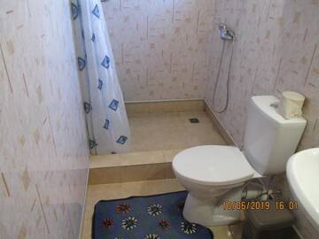 Фото номера Роскошный четырехместный номер Гостевой дом David Guest house г. Алахадзы 11