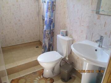 Фото номера Роскошный четырехместный номер Гостевой дом David Guest house г. Алахадзы 43