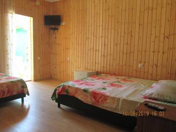 Фото номера Роскошный четырехместный номер Гостевой дом David Guest house г. Алахадзы 16