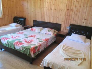 Фото номера Роскошный четырехместный номер Гостевой дом David Guest house г. Алахадзы 17