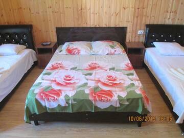 Фото номера Роскошный четырехместный номер Гостевой дом David Guest house г. Алахадзы 18