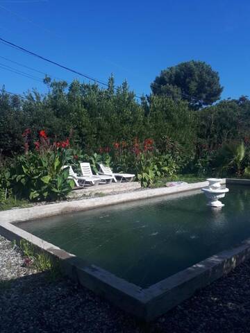 Фото номера Двухместный номер с 1 кроватью Гостевой дом U Aleny Guesthouse г. Алахадзы 3