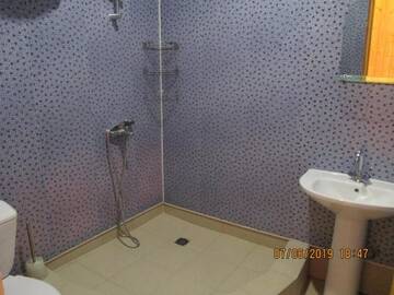 Фото номера Роскошный четырехместный номер Гостевой дом Guest house Mila г. Алахадзы 31